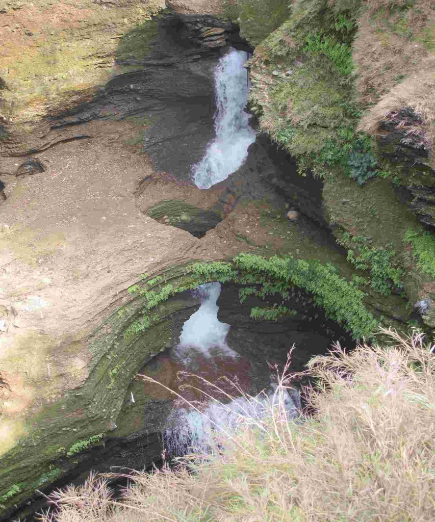 Davis Falls View