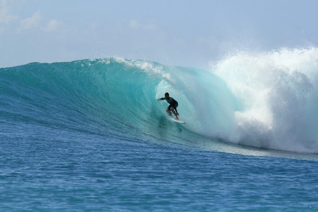 Surfing - water sports