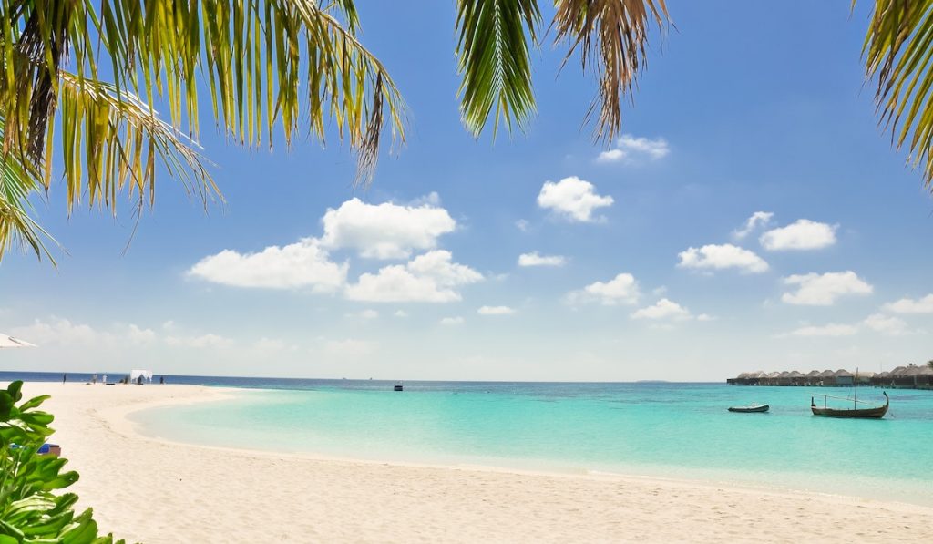 Beach in the Caribbean