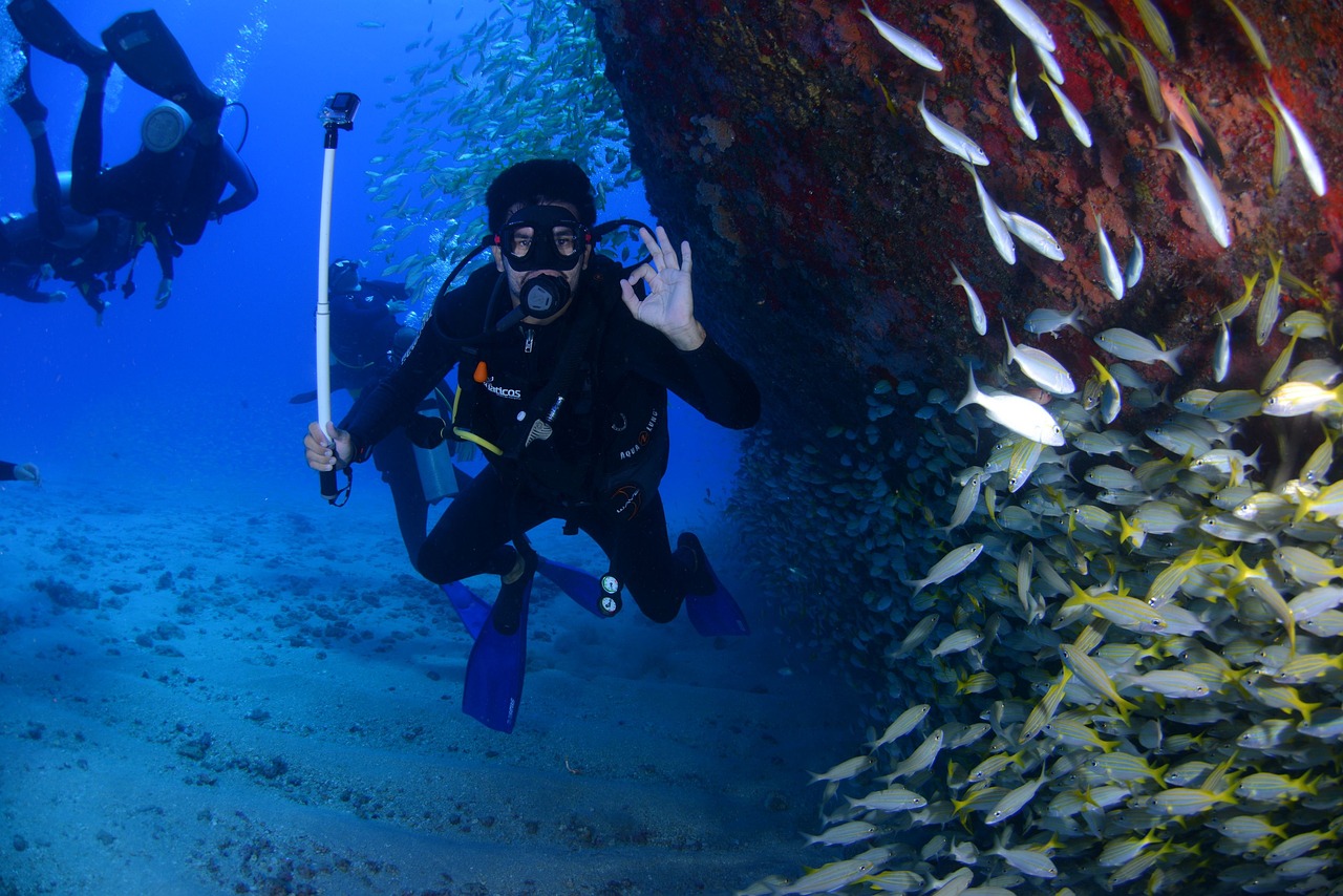 Why is it Important for Divers to Take Coral Propagation Courses in Indonesia?