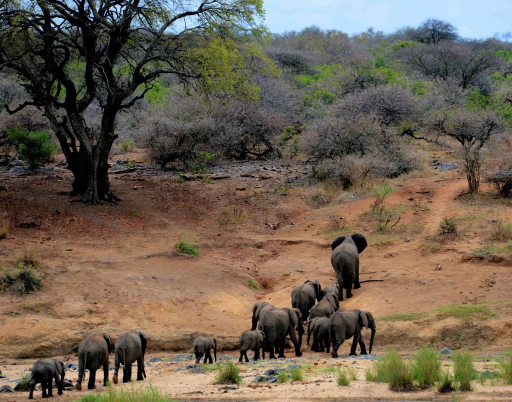 Thrilling Activities in Africa