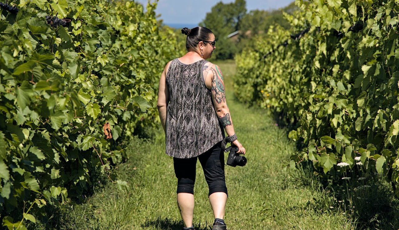Fun at Local Vineyards