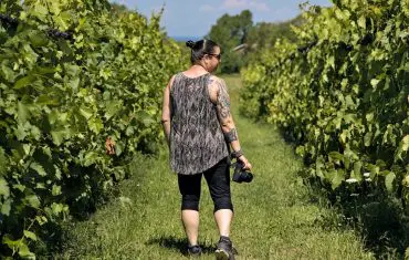 Fun at Local Vineyards