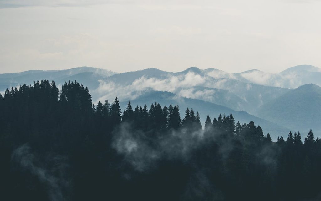 Vacation In The Mountains