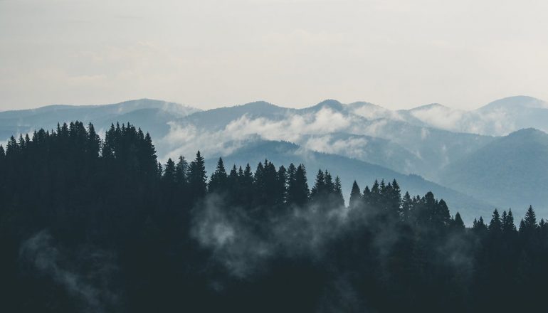 Vacation In The Mountains