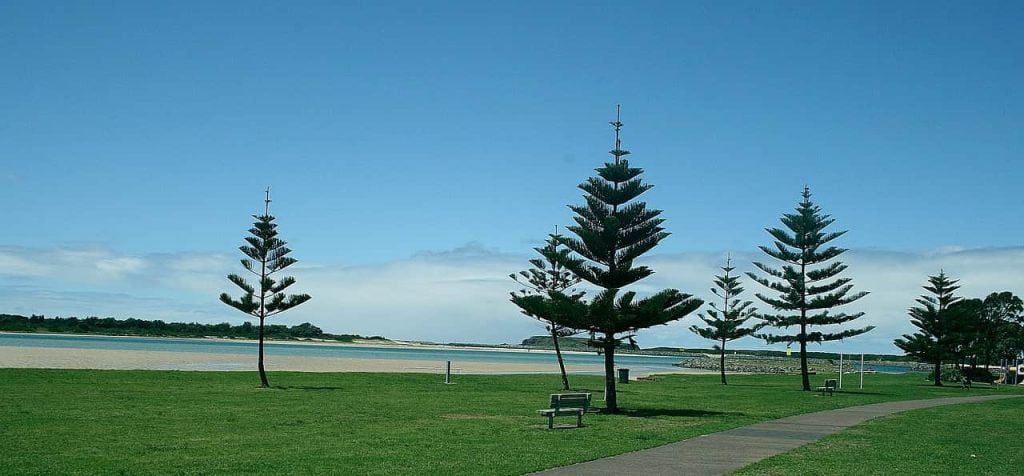 Illawarra, NSW, Australia