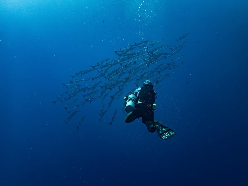 Snorkeling