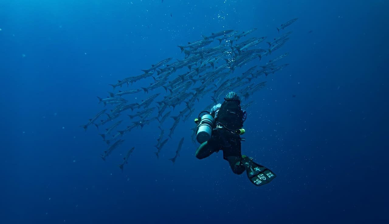 Snorkeling