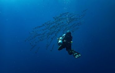 Snorkeling