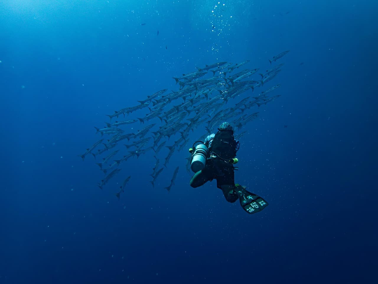 How To Get Started With Snorkeling For Beginners